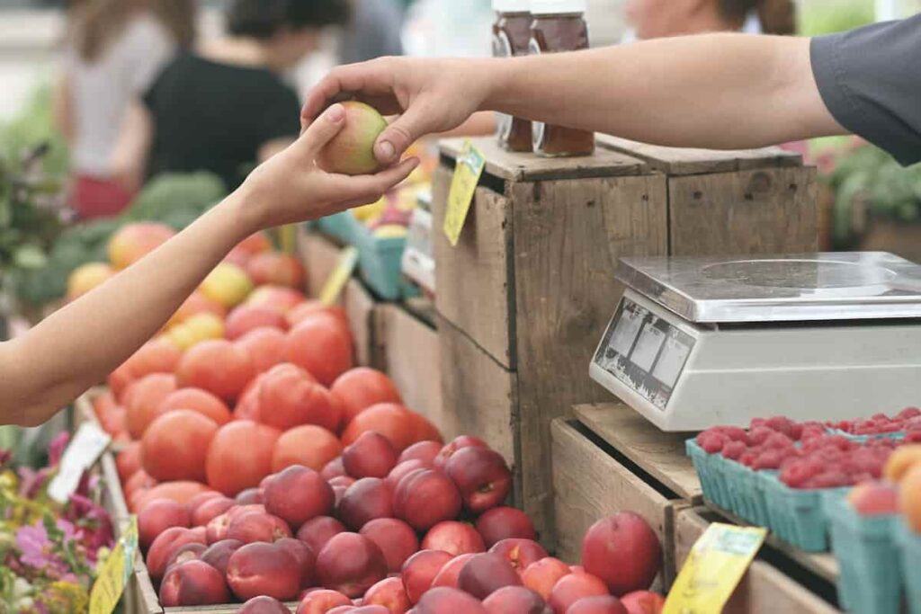 Como economizar na compra do mês?