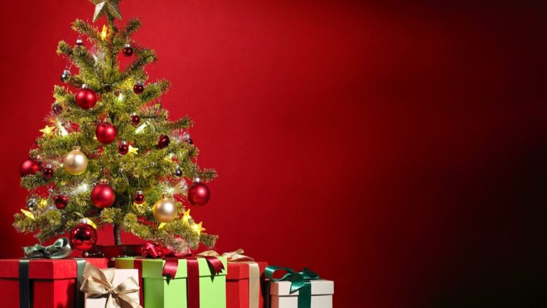 Le gouvernement verse la prime de No&euml;l. D&eacute;couvrez